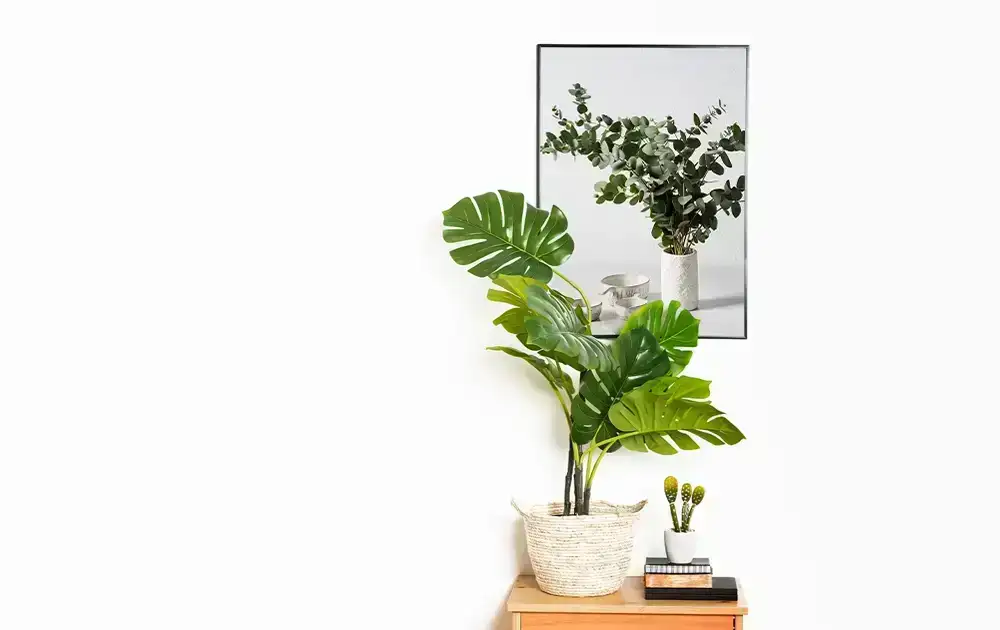 Eucalyptus Wall Art preview